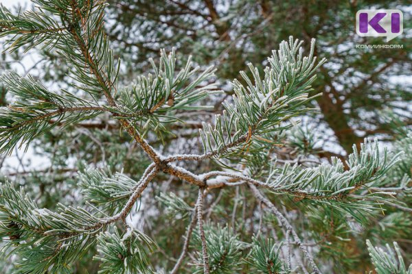 Погода в Коми 28 ноября: сильный гололед, -9...-21°С