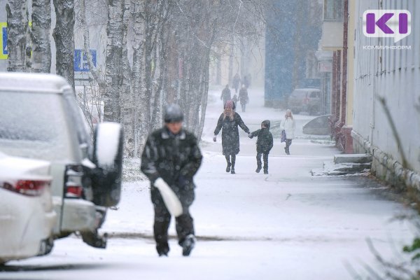 Погода в Коми на 29 ноября: небольшой снег и -8°С