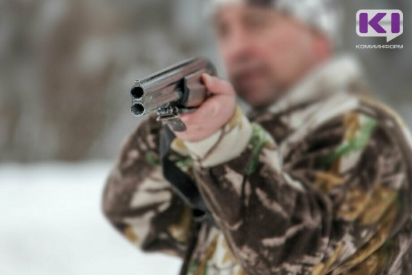 В Усть-Куломском районе продолжается добыча волков 