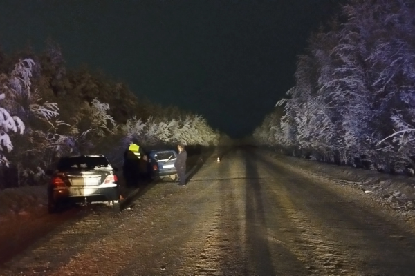 Под Сосногорском водитель автомобиля ветеринарной помощи спровоцировал ДТП