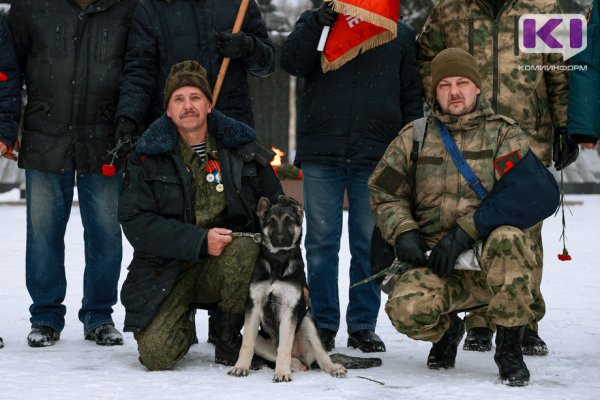 Хозяин сыктывкарской овчарки Сармат завел нового питомца 