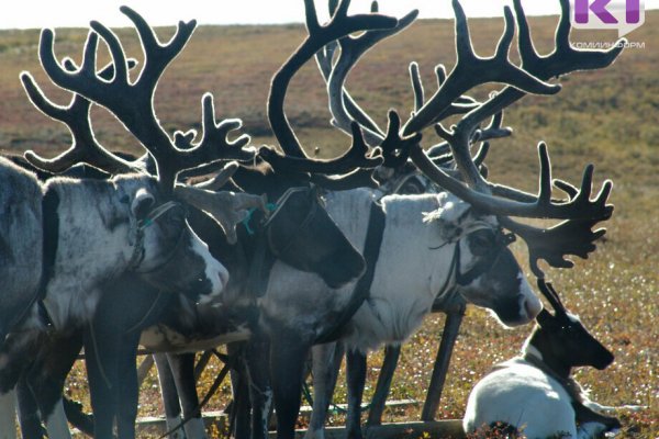 Агрокомплекс 