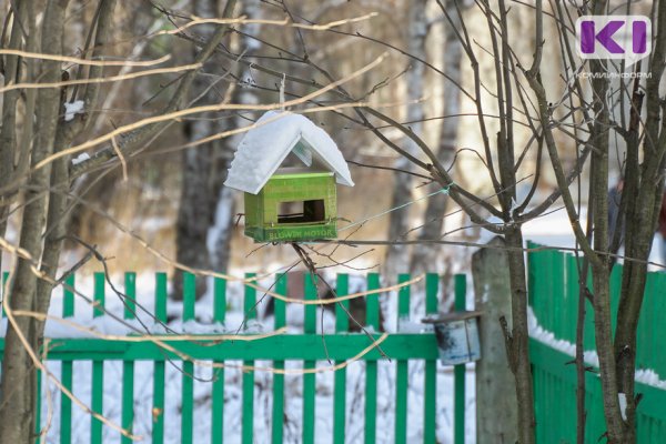 Минприроды Коми приглашает присоединиться к акции 