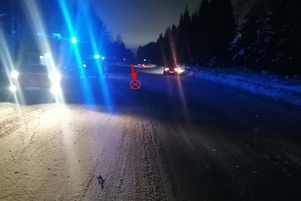 В Сыктывкаре объявлен в розыск водитель, сбивший нетрезвую женщину 