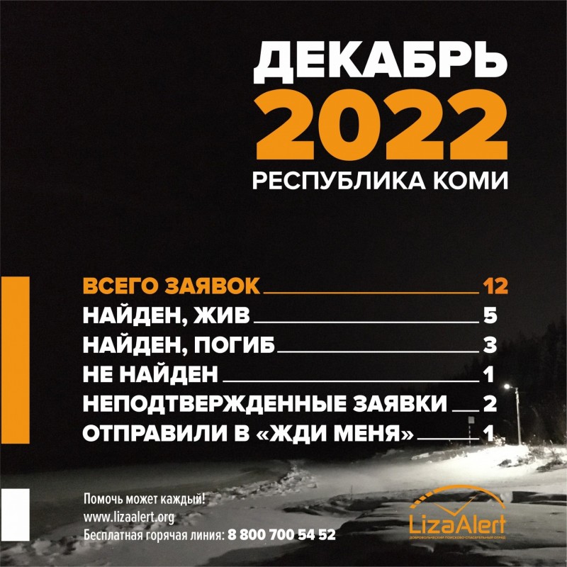 В декабре к поисковикам "Лиза Алерт" обращались за помощью 12 раз