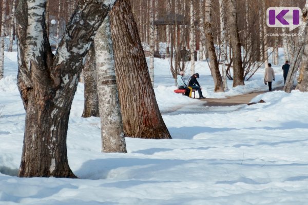 Погода в Коми на 26 января: сильный снег и +3°С