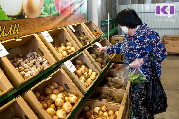 Специалисты Россельхозцентра Коми рассказали, как правильно хранить севок 