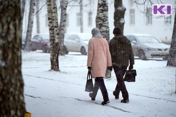 Погода в Коми на 11 февраля: небольшой снег и -4°С