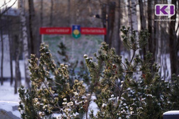 Погода в Коми 14 февраля: днем -4...-9°С