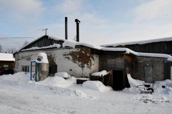 В Усть-Куломском районе обустроят пункт временного содержания бродячих собак