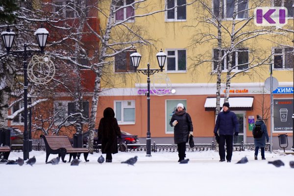 Погода в Коми на 22 февраля: северный ветер и -13°С