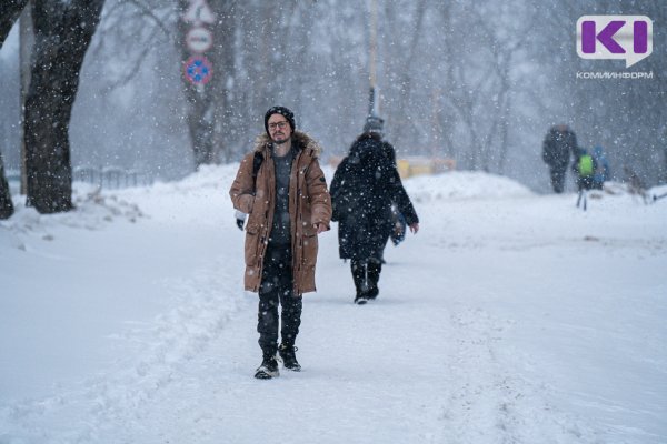 Погода в Коми на 24 февраля: небольшой снег и -10°С