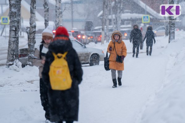 Погода в Коми на 28 февраля: порывистый ветер и -8°С