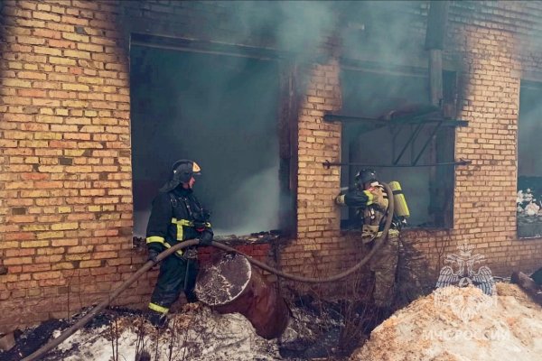 В Визинге сгорела частная пилорама