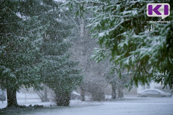 Погода в Коми на 2 марта: небольшой снег и -14°С