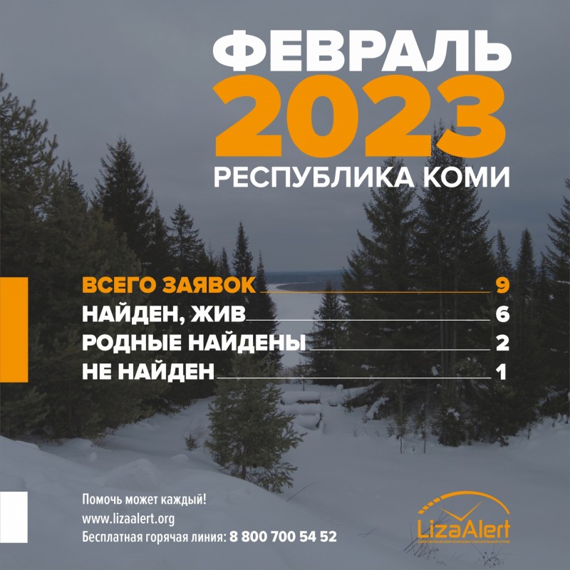 В феврале к поисковикам "Лиза Алерт" обращались за помощью девять раз