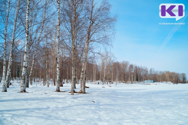 Погода в Коми 16 марта: порывистый ветер, +3...+5°С