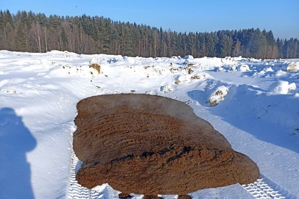 В Коми впервые наказали сельхозпредприятие за сваленный в городе навоз