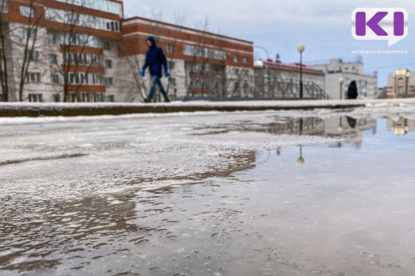 Погода в Коми 19 марта: южный штормовой ветер, -3...+2°С