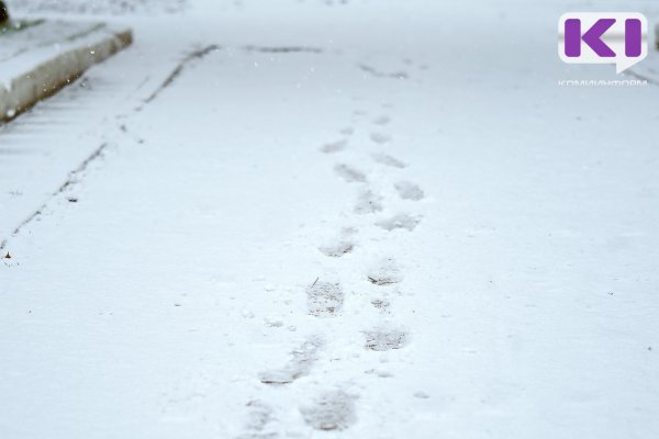 Погода в Коми 28 марта: снегопад утихнет