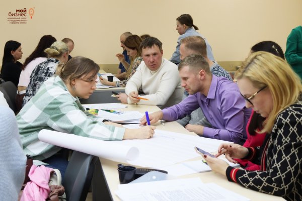 Предприниматели Республики Коми узнали, как создать социальный бизнес и получить грант до 1 млн рублей

