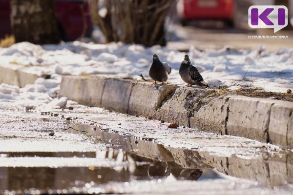 Погода в Коми на 6 апреля: на севере -18°С, на юге +3°С