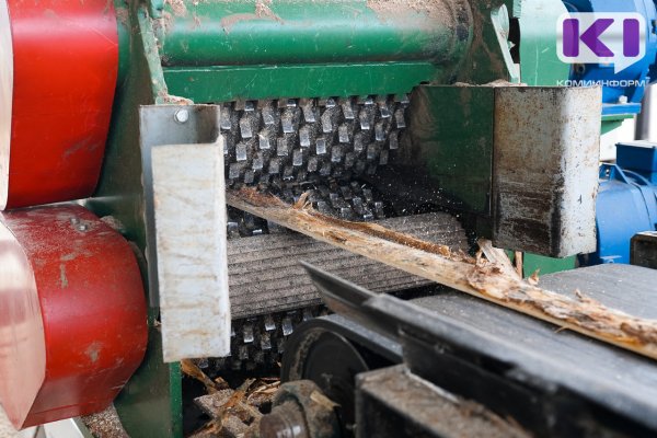 10 уголовных дел по контрабанде лесоматериалов из Коми возбудила таможня 