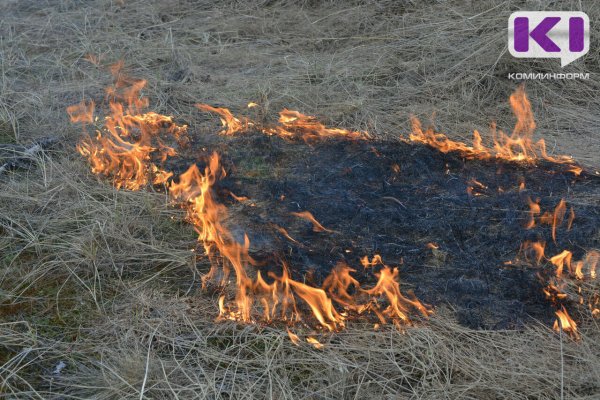 Аграриям Коми напомнили о запрете на пал сухой травы

