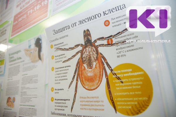 В Коми клещи покусали шесть человек