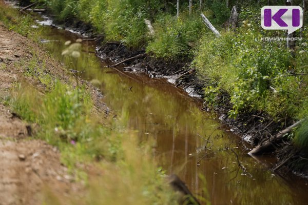 Радоница для жительницы Мылвы закончилась в яме с водой 