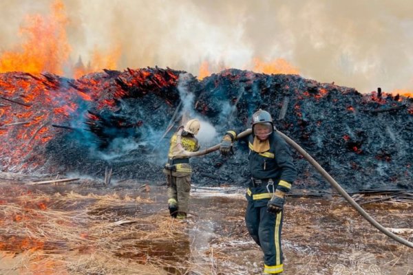 В Сыктывдинском районе ликвидируют пожар в районе пилорамы в местечке Захаровка