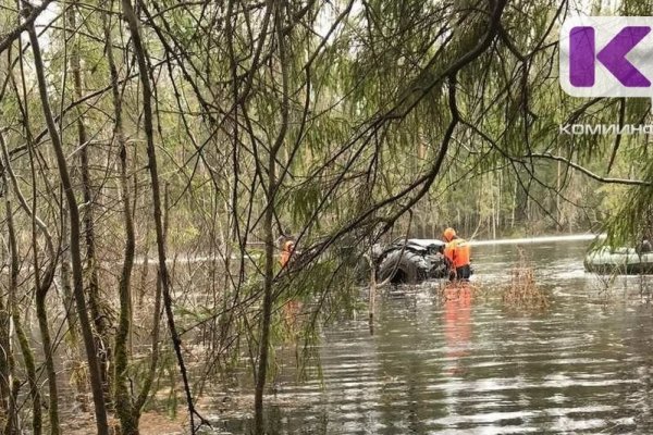 В Прилузье чуть не утонул каракат 