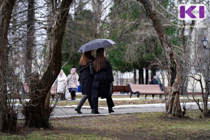 Май в Коми будет дождливым 