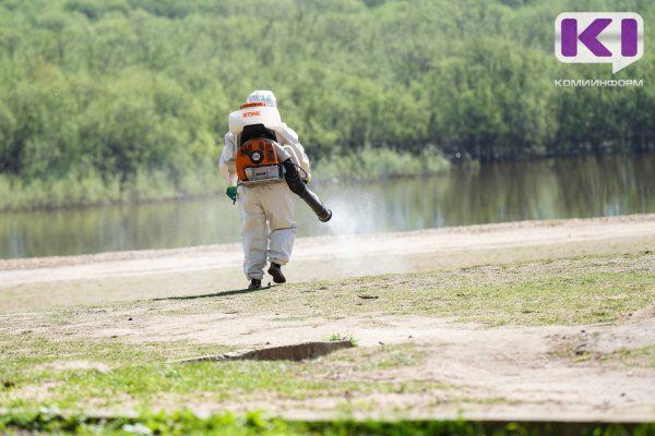 В Коми за неделю более 30 человек пострадали от укусов клещей