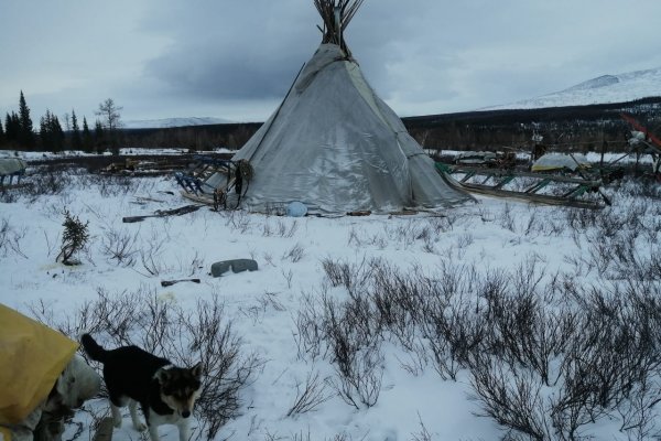 В Инте спасатели сутки вывозили травмированного оленевода 