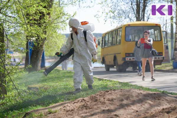 В Коми за неделю от укусов клещей пострадали 110 человек