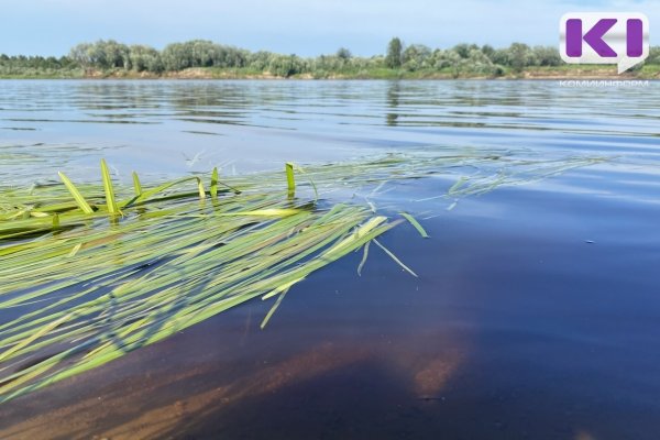 В нацпарке 