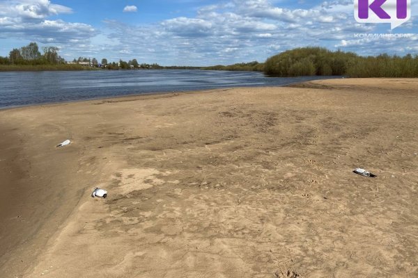 Грипп птиц не представляет угрозы здоровью человека - Управление Роспотребнадзора по Коми