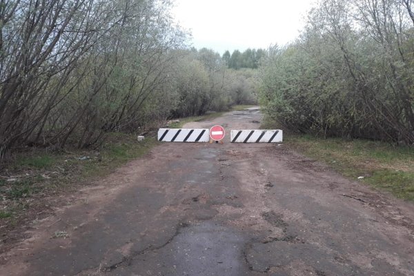 В Сыктывкаре из-за птичьего гриппа закрыли пляж в Кируле