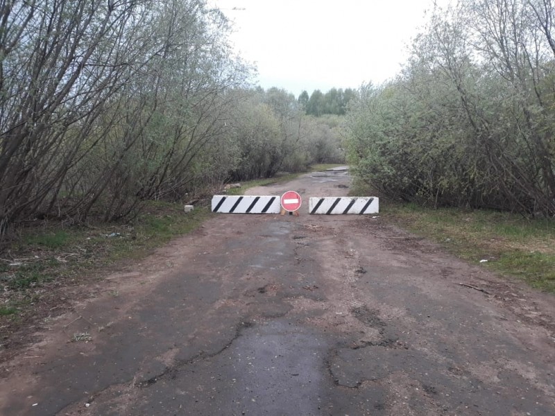 В Сыктывкаре из-за птичьего гриппа закрыли пляж в Кируле