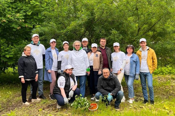 Сотрудники Комитета Коми по закупкам высадили деревья в память о военных медиках