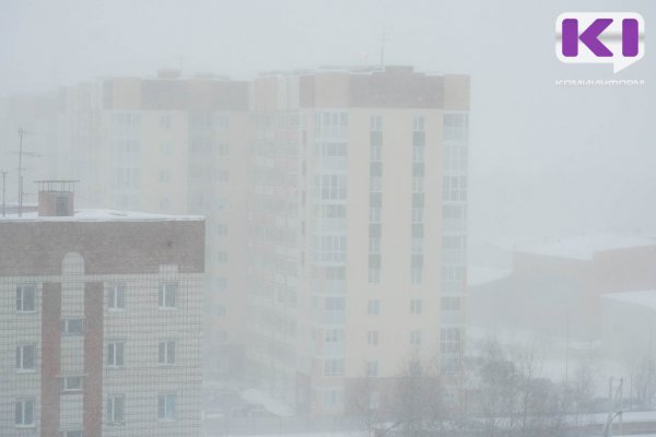 Погода в Коми 11 июня: в восточных районах метель