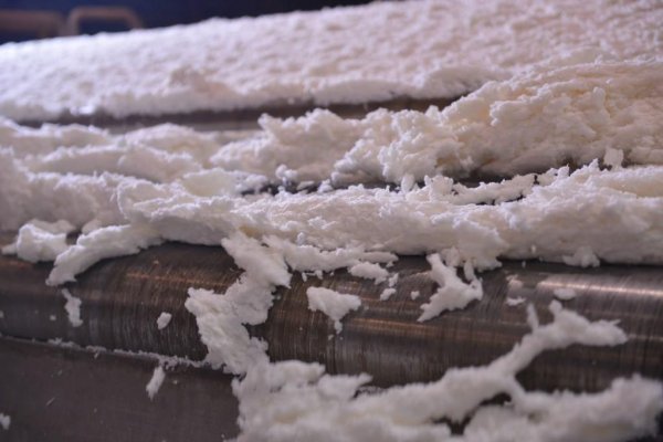 На Монди СЛПК произвели 25 миллионов тонн целлюлозы

