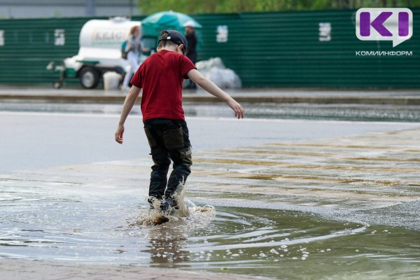 Погода в Коми 28 июня: дождь, гроза и +23°С