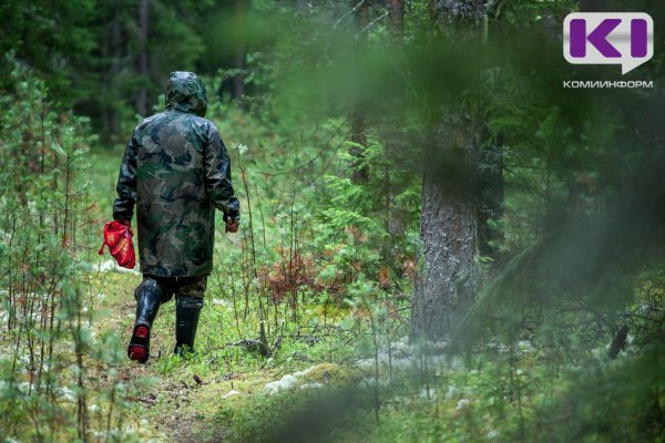 В Усинске заблудился грибник 