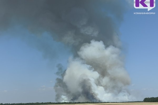 В Корткеросском районе потушили крупный лесной пожар 