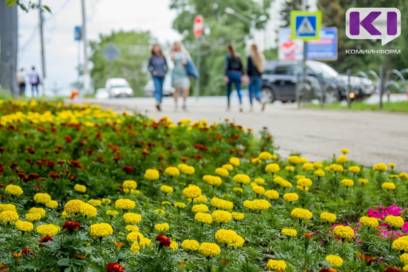 Погода в Коми 7 июля: небольшой дождь, +15...+20°С