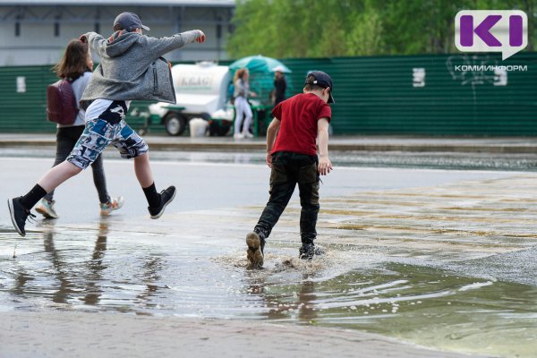 Погода в Коми 9 июля: небольшой дождь, гроза, +12...+17°С