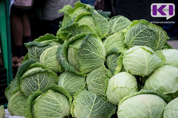 На неделе в Коми подорожали гречка и капуста, подешевели мука и сыр 