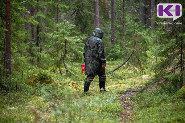 Летом в Коми ежедневно теряются по 4-5 человек